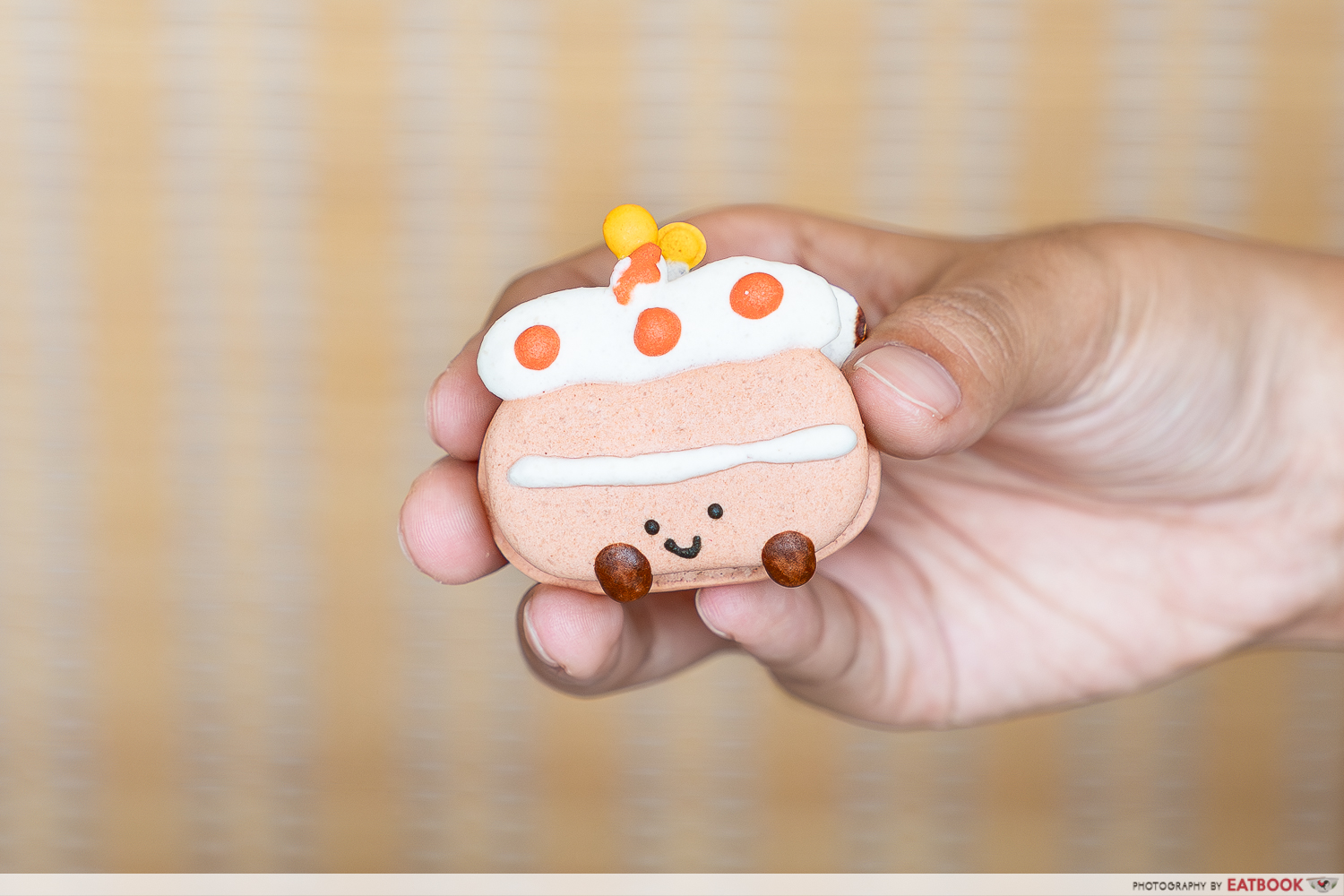 birthday-cake-jellycat-macarons-sumopocky-establishment-interaction