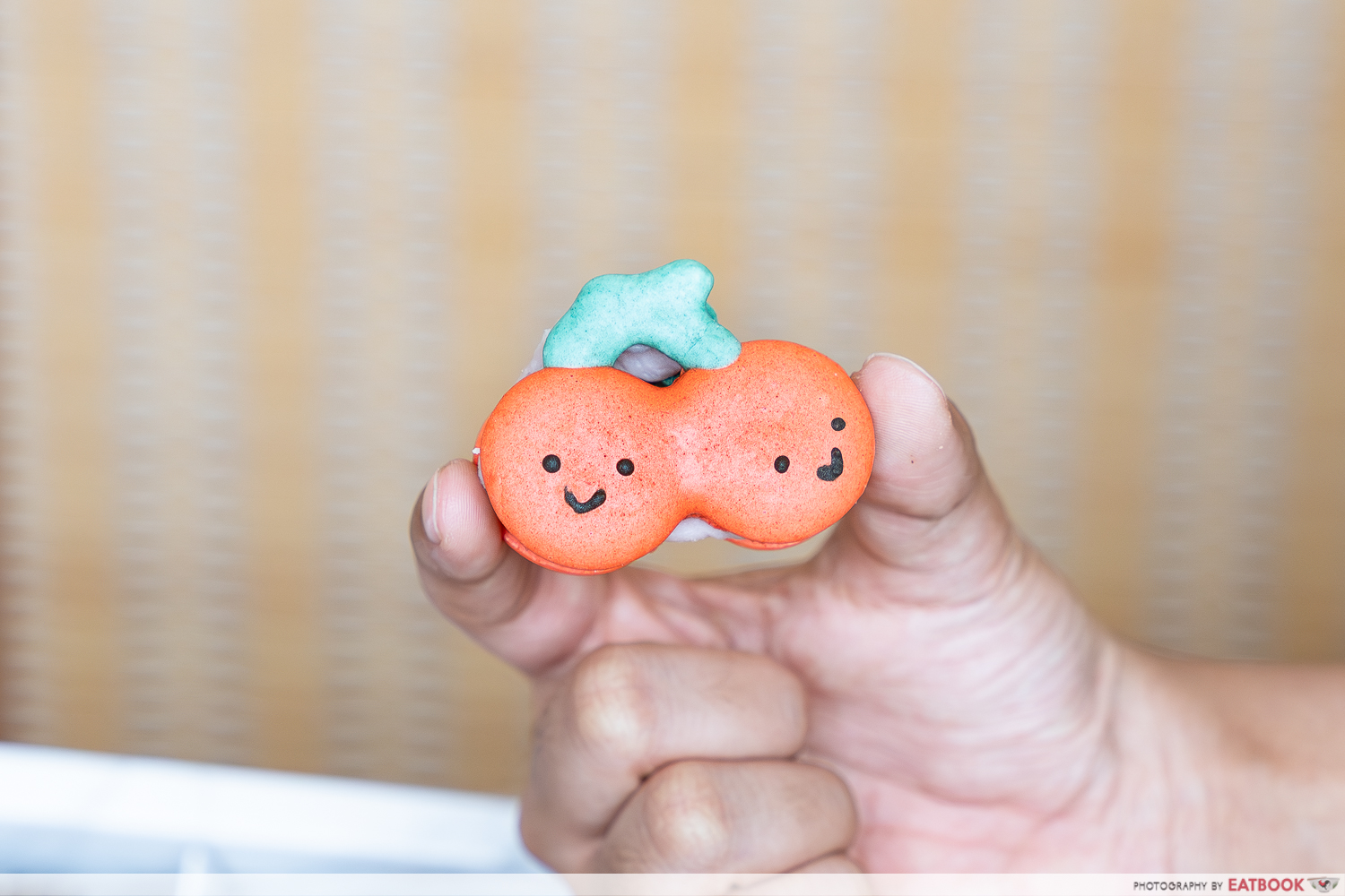 cherry-jellycat-macarons-sumopocky-establishment-interaction