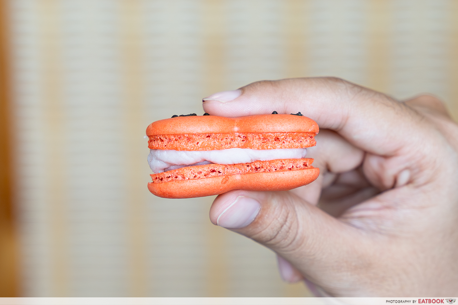 cherry-jellycat-macarons-sumopocky-filling