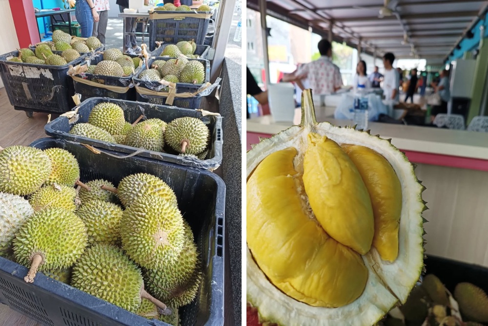 durian-studio