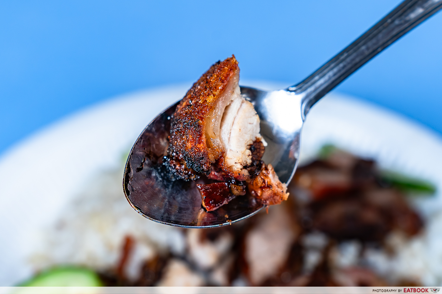 335-hong-kong-roasted-meat-roast-pork-interaction