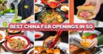 17 Famous China F&B Openings In SG For 2026—Yoghurt Shakes, Pan-Fried Dumplings And More