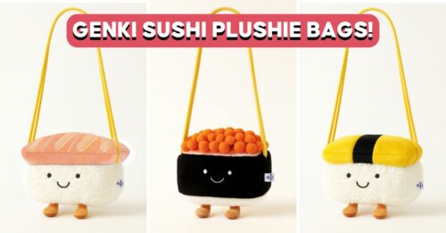 GENKI-SUSHI-BAGS-COVER