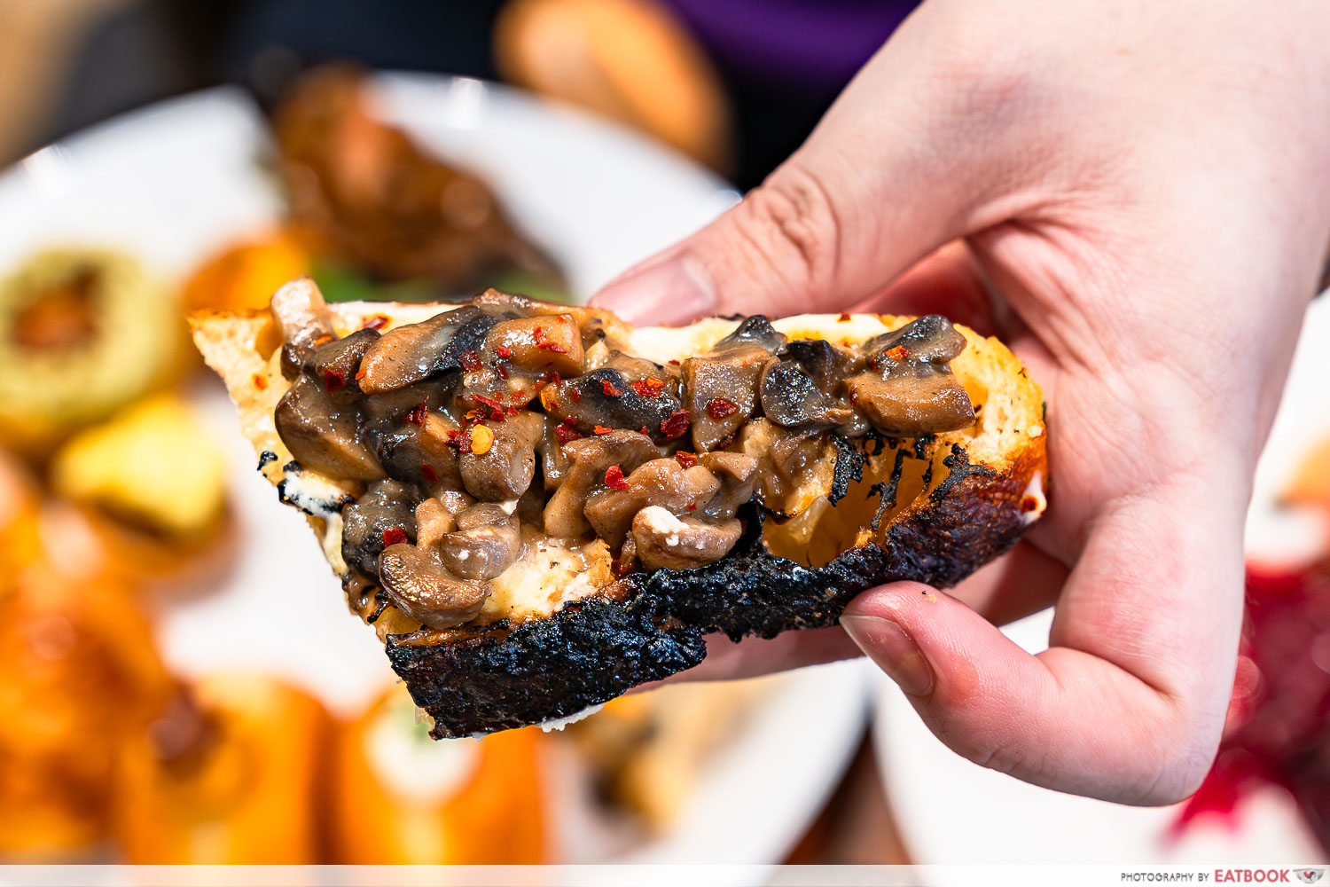 awfully-chocolate-mushroom-focc