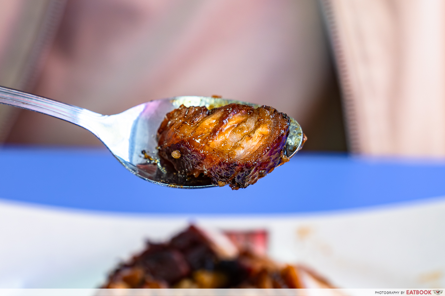 hiang-ji-roasted-meat-&-noodle-house-toa-payoh-char-siew-interaction