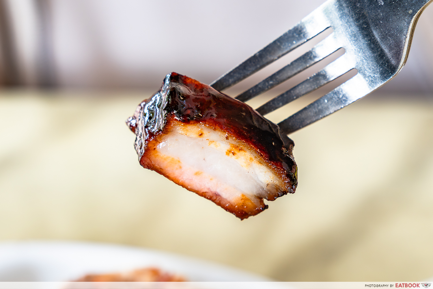 kay-lee-roast-meat-joint-char-siew-interaction
