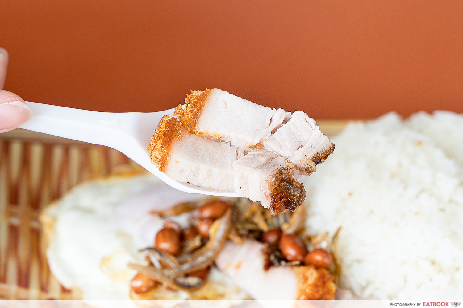 roasted-pork-belly-nasi-lemak-slices
