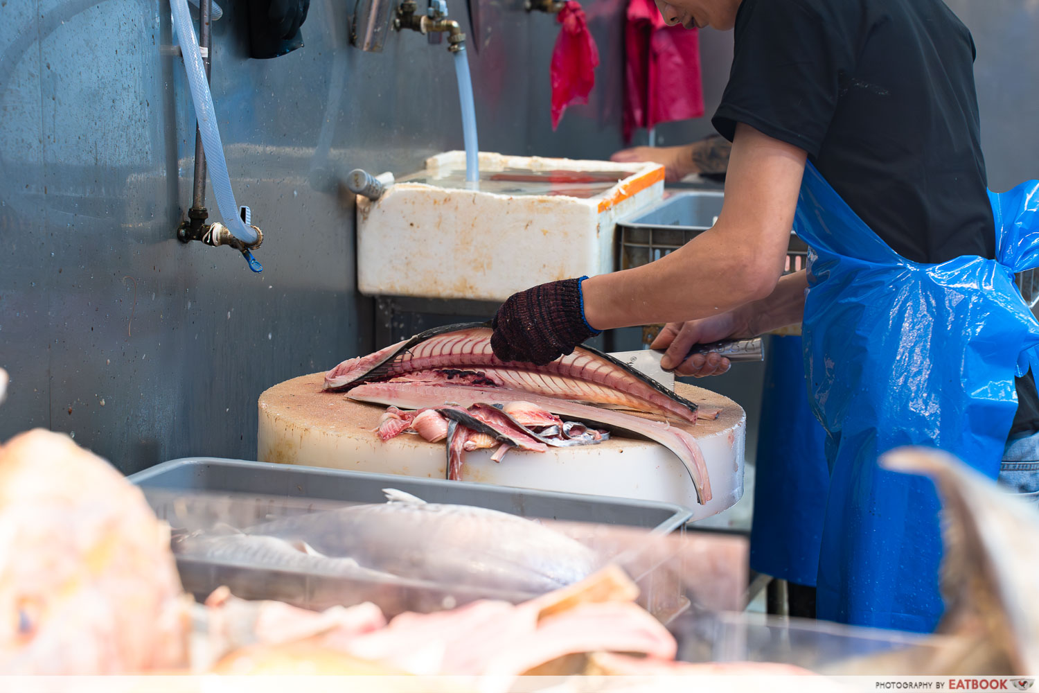 the-future-of-wet-markets-fish