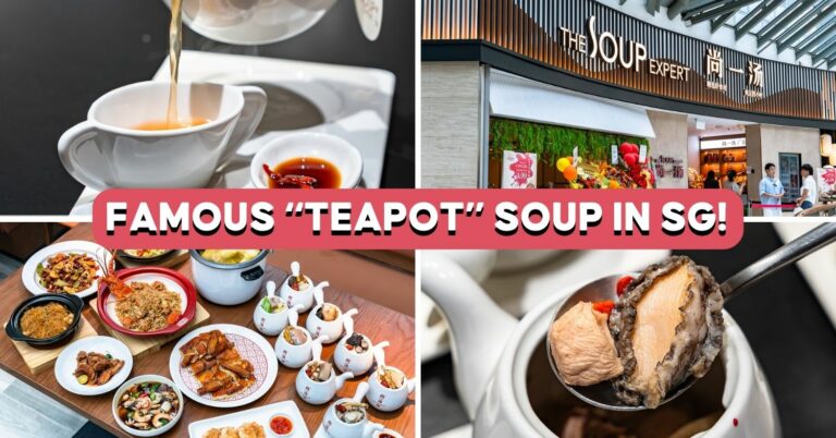 the-soup-expert-cover