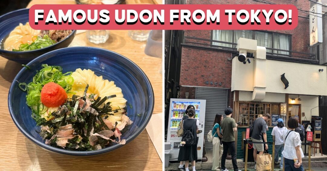 udon-shin-cover-3