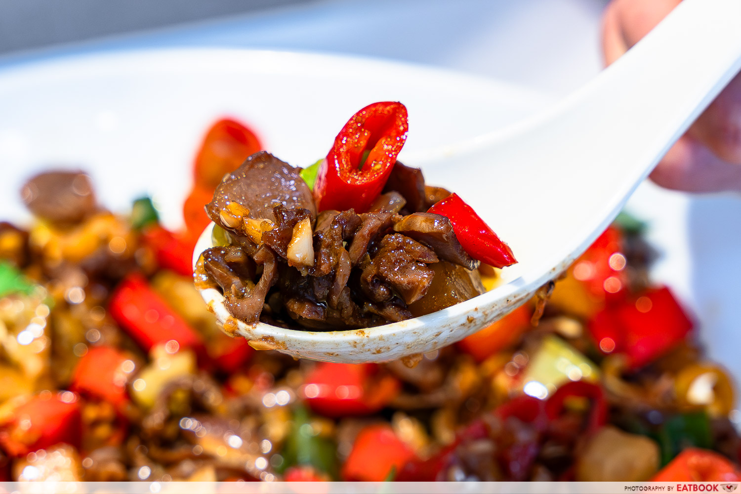 chilli-up-gizzard