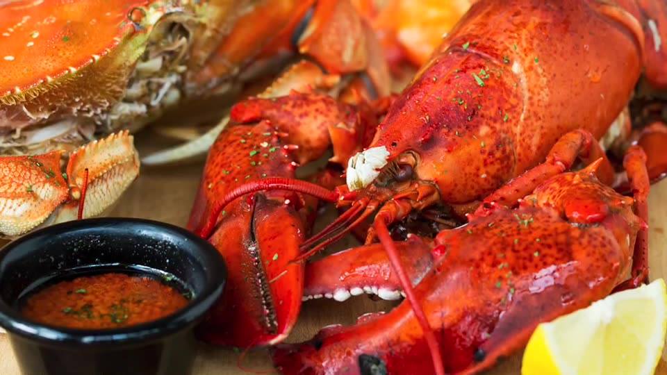 the-boiler-boilers-bombdiggity-bag-free-boston-lobster-birthday-deal-establishment