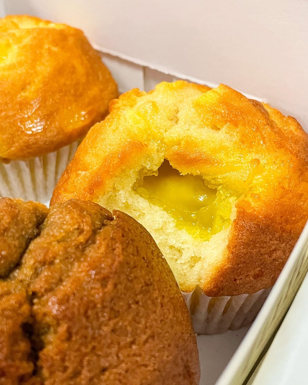 SL-II-Muffin-cross-section