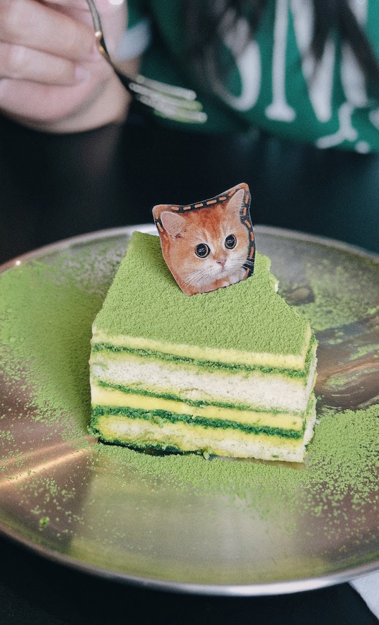 coffee-cat-house-tiramisu