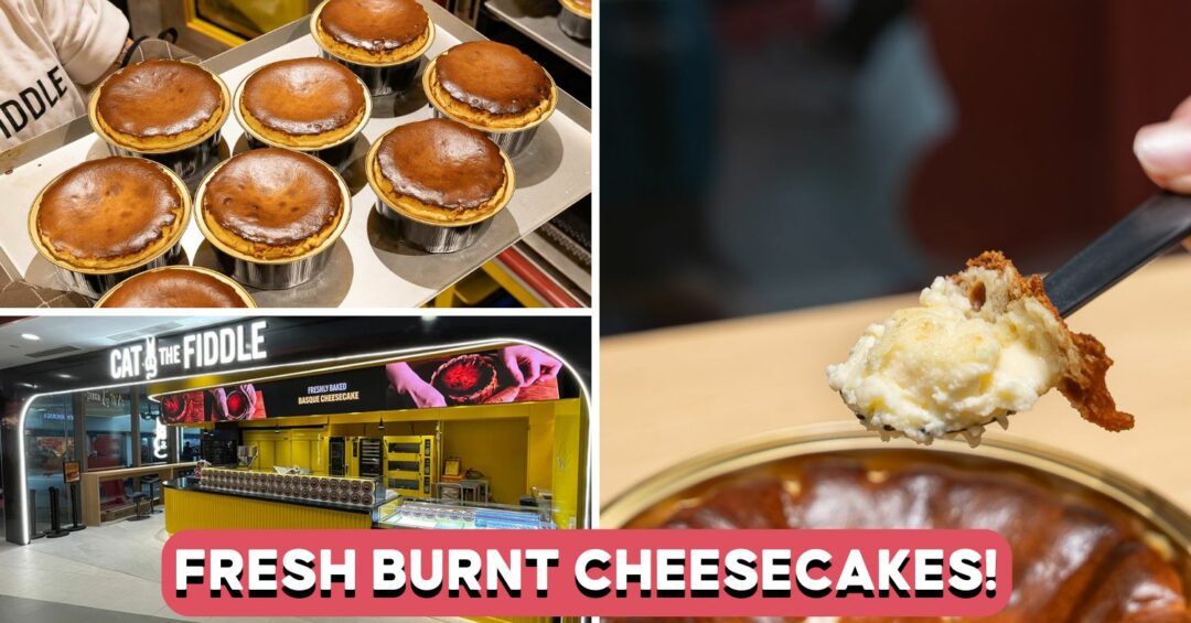 cat-and-the-fiddle-cover