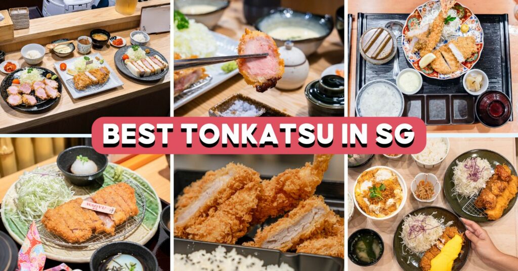 best-tonkatsu-singapore-cover