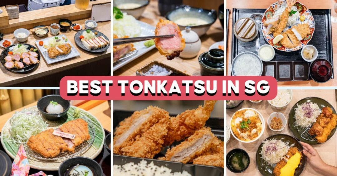 best-tonkatsu-singapore-cover