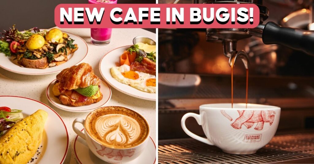 elephants-grounds-cover