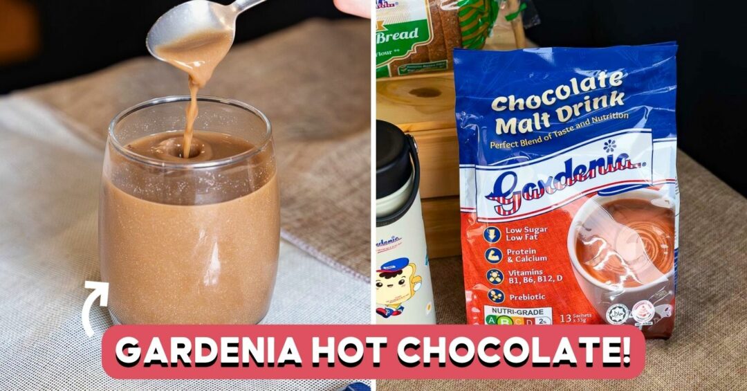 gardenia-chocolate-malt-drink-cover