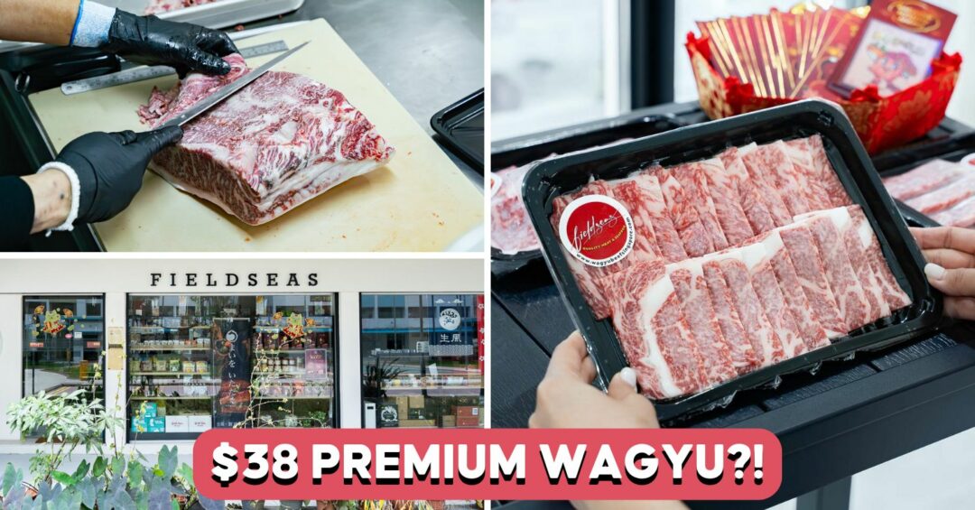 fieldseas-feature-image