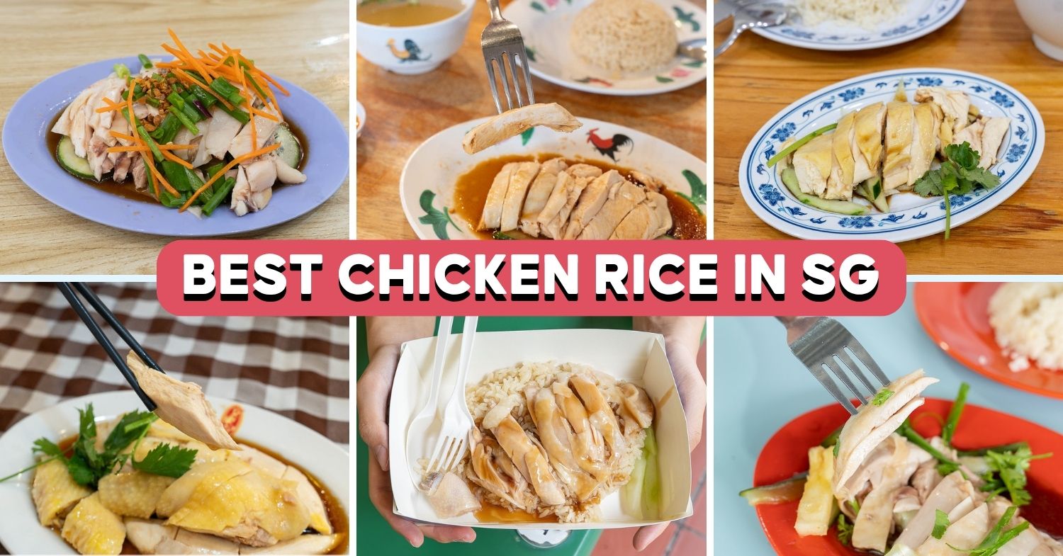 10 Best Chicken Rice In Singapore Ranked, Including Tian Tian And Boon Tong Kee