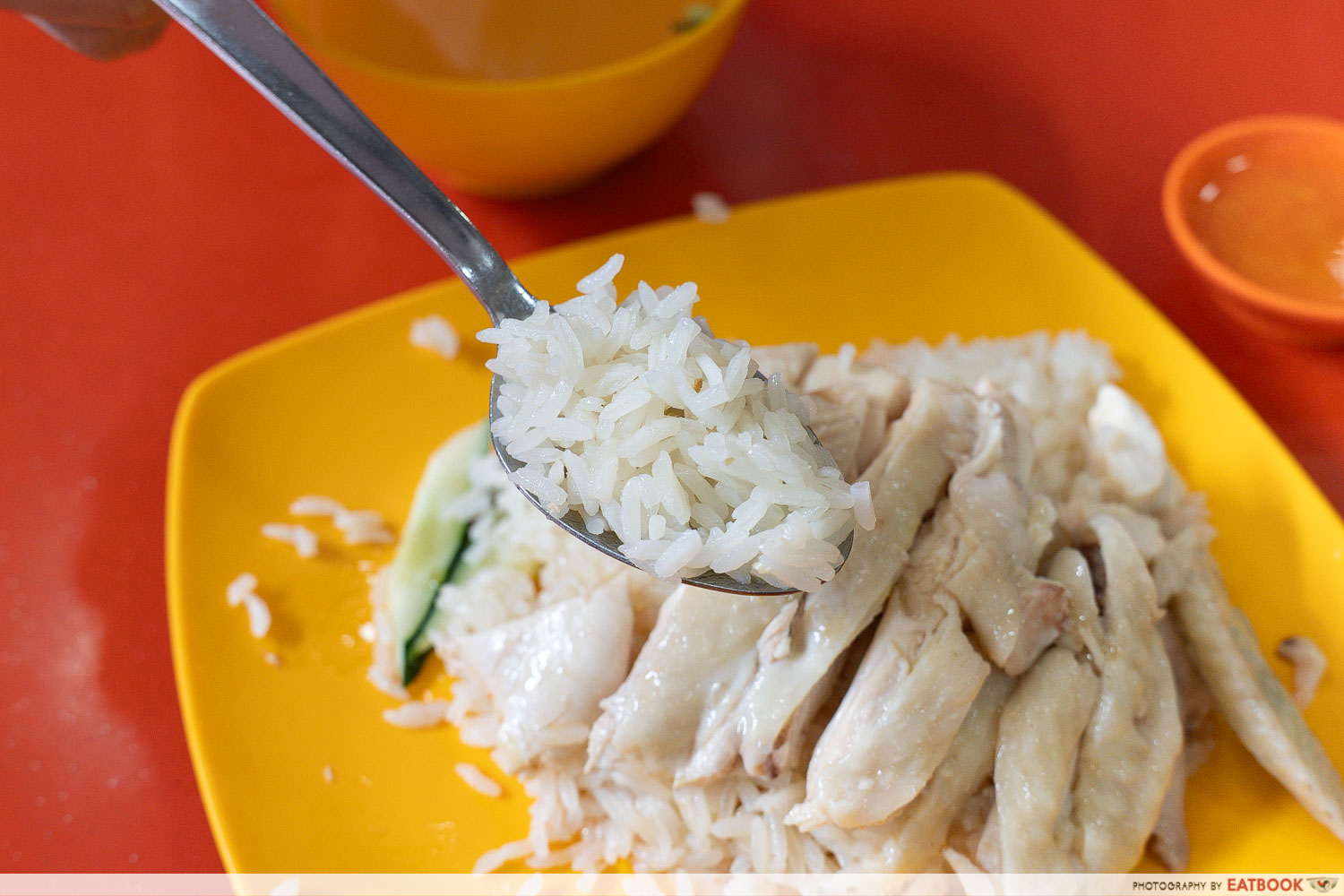 chye-kee-chicken-rice-rice
