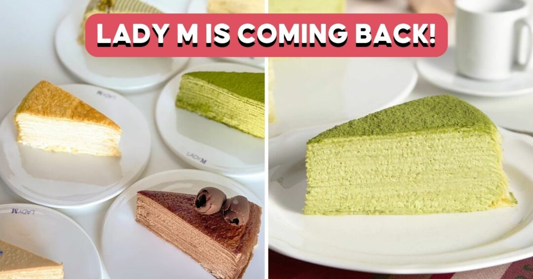 lady-m-returns-cover