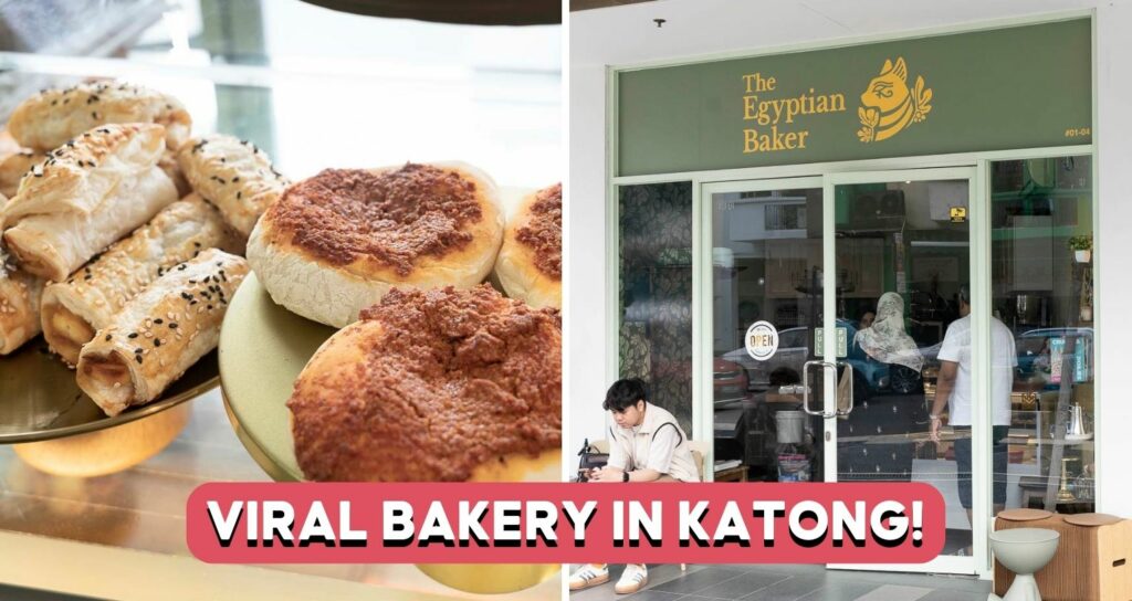 the-egyptian-baker-cover