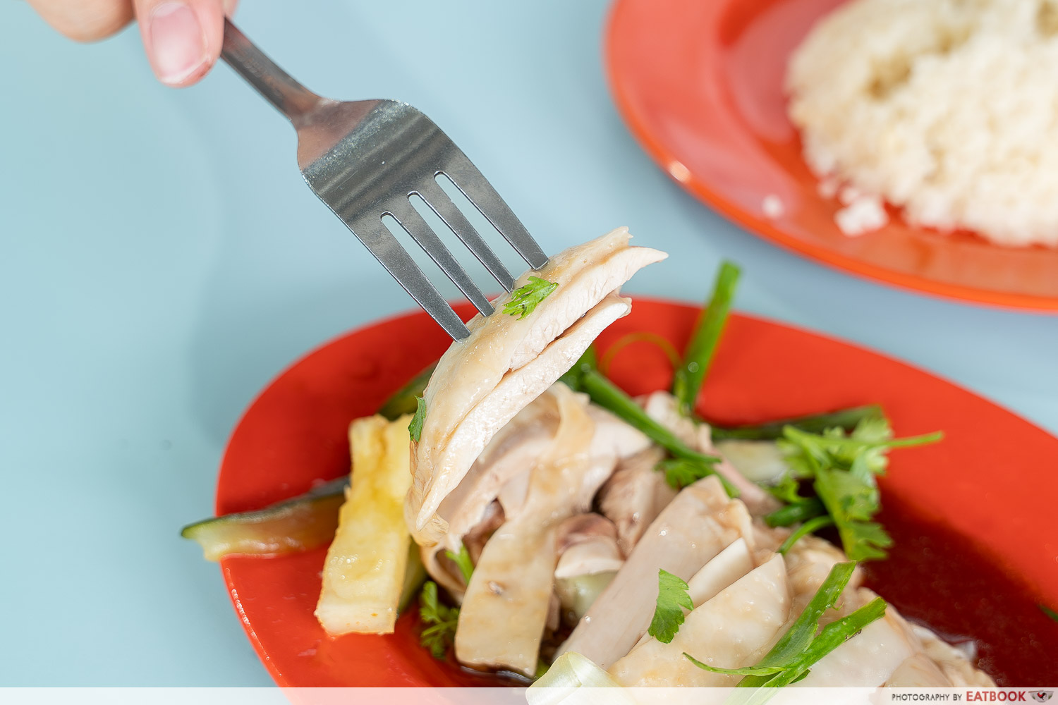 zi-ji-cheng-chicken-rice-chicken
