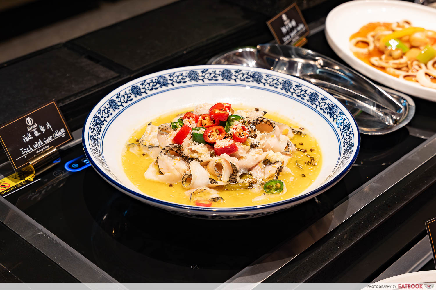 house-plus-bubble-spa-fish