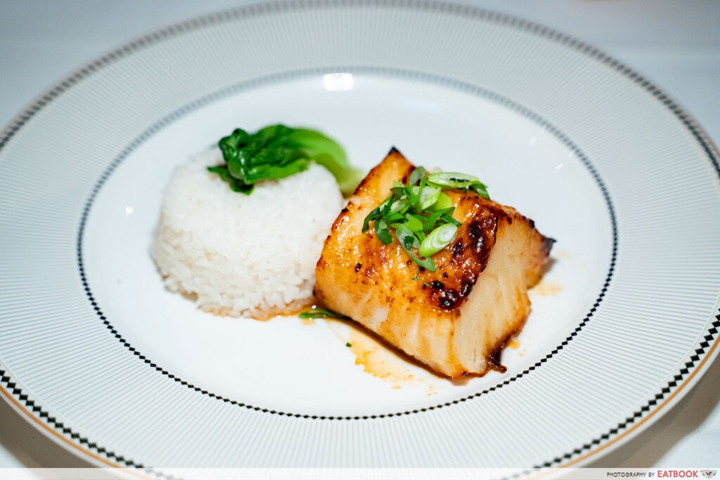 navigators-club-fish