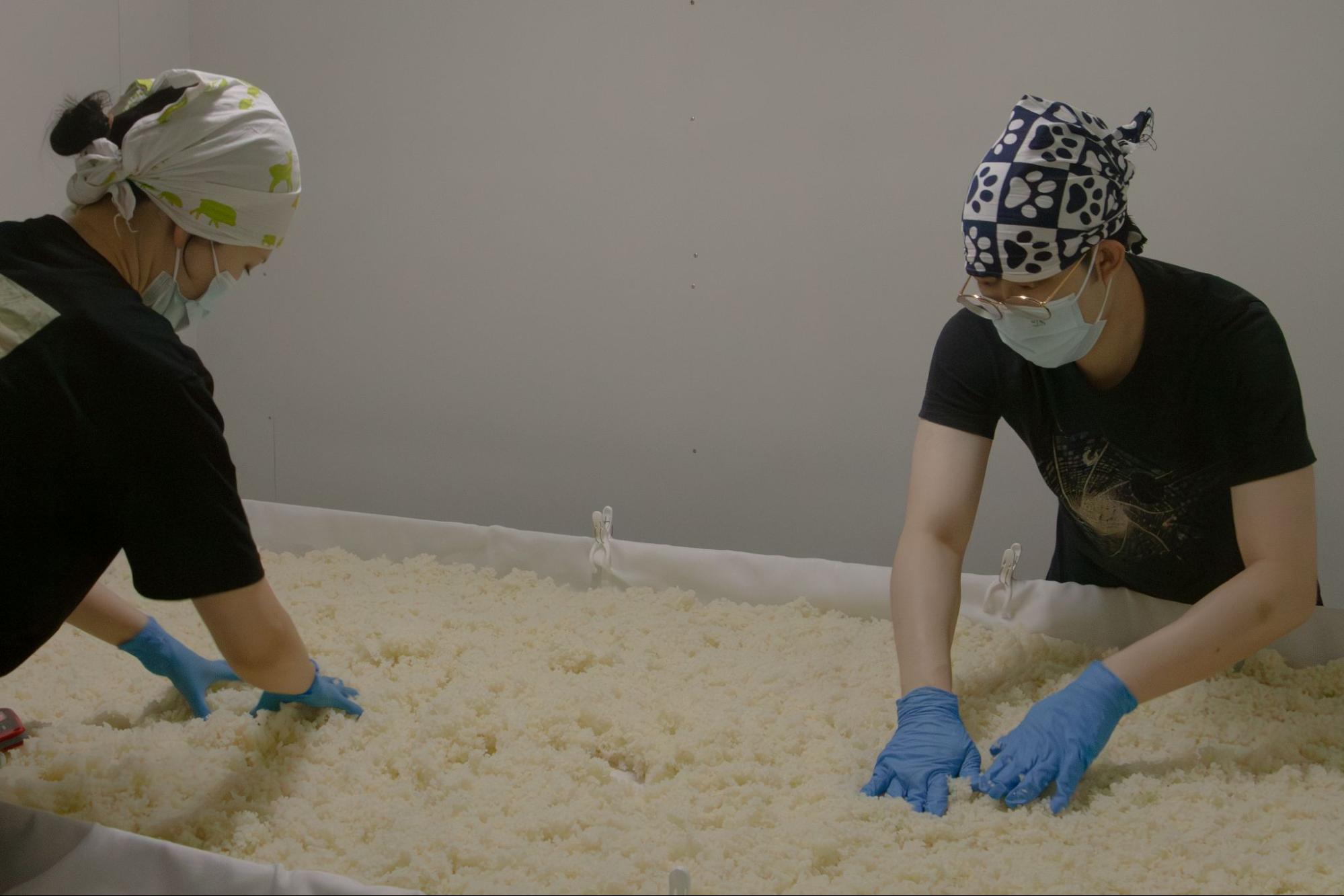 orchid-sake-brewery-rice