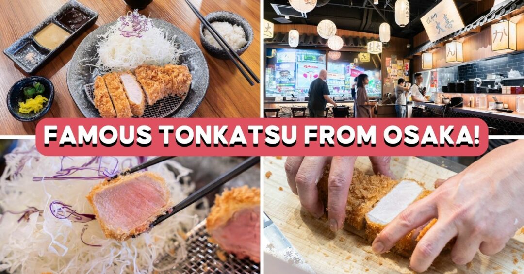 tonkatsu-daiki-cover-review