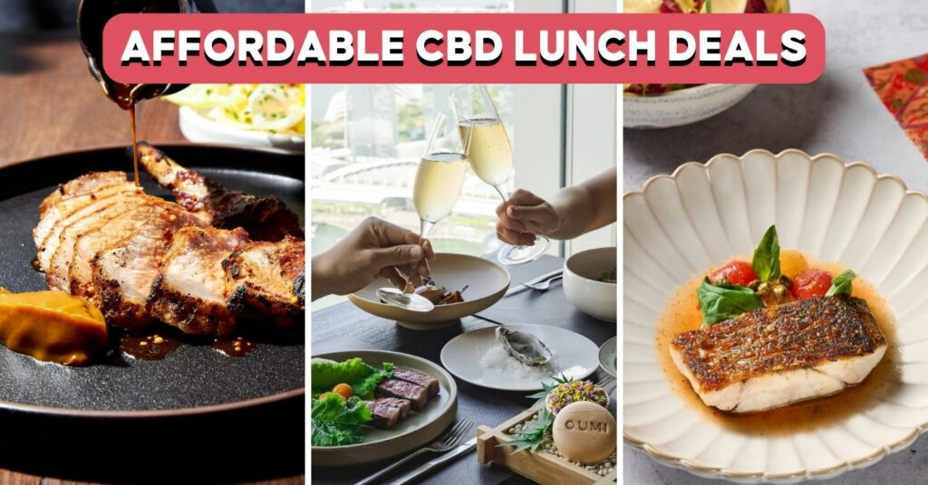 CBD-LUNCH-SETS-COVER