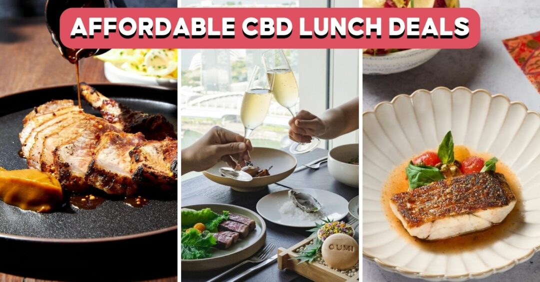 CBD-LUNCH-SETS-COVER