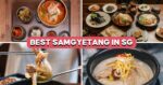 10 Best Samgyetang Restaurants In Singapore From $15.90++