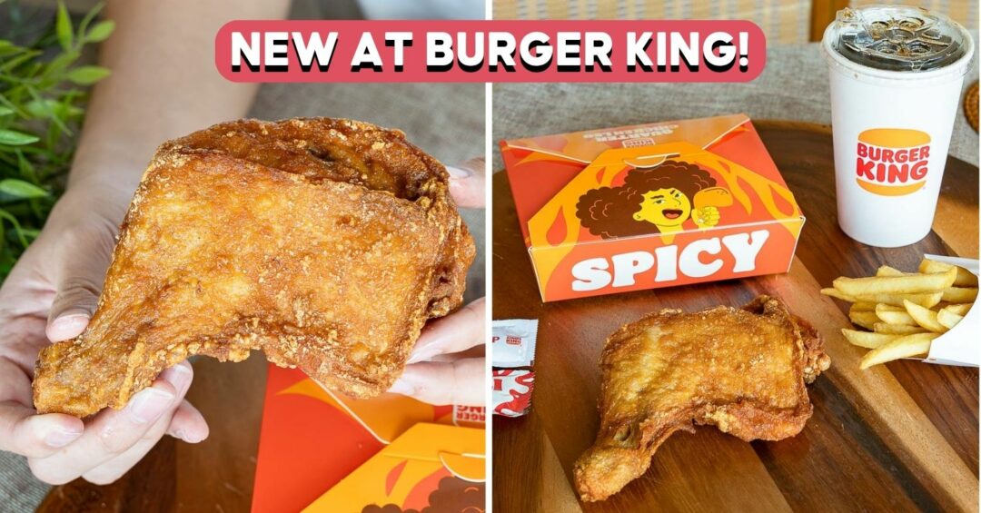 burger-king-quarter-chicken-leg-cover