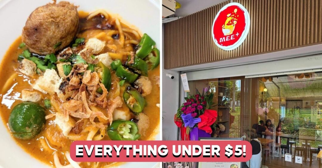 mee-plus-feature-image