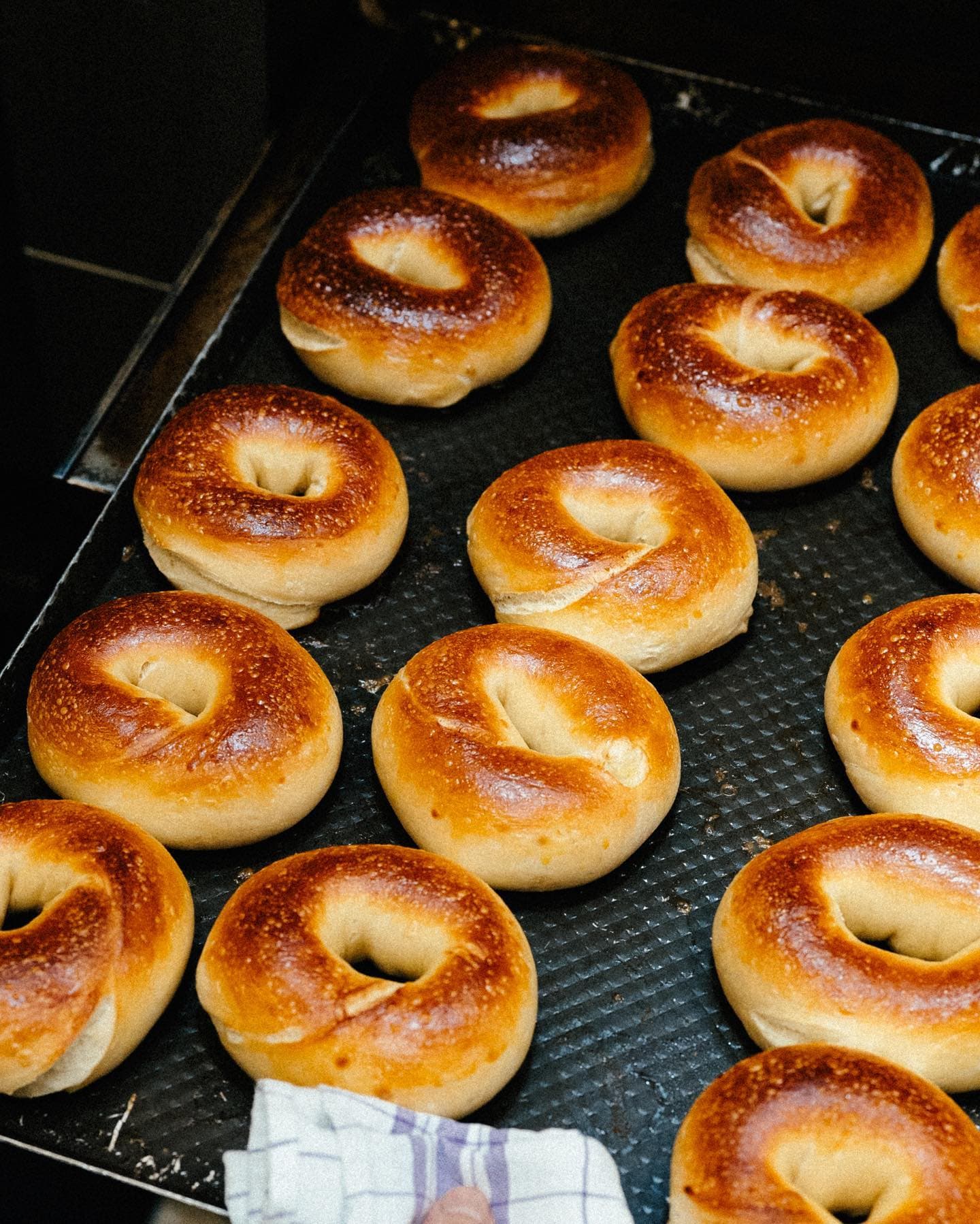 two-men-bagel-house-group-of-plain-bagels