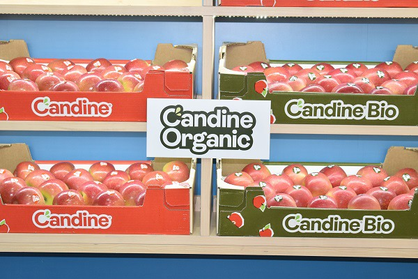 voilah-market-apples