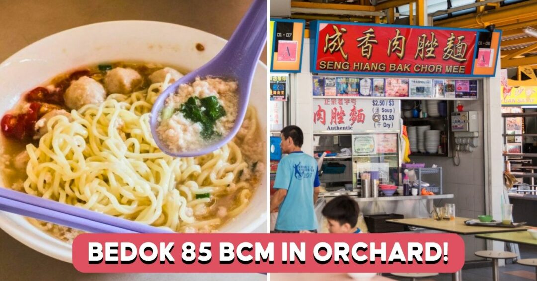Cover Image for Bedok 85 Seng Hiang BCM Orchard (1)