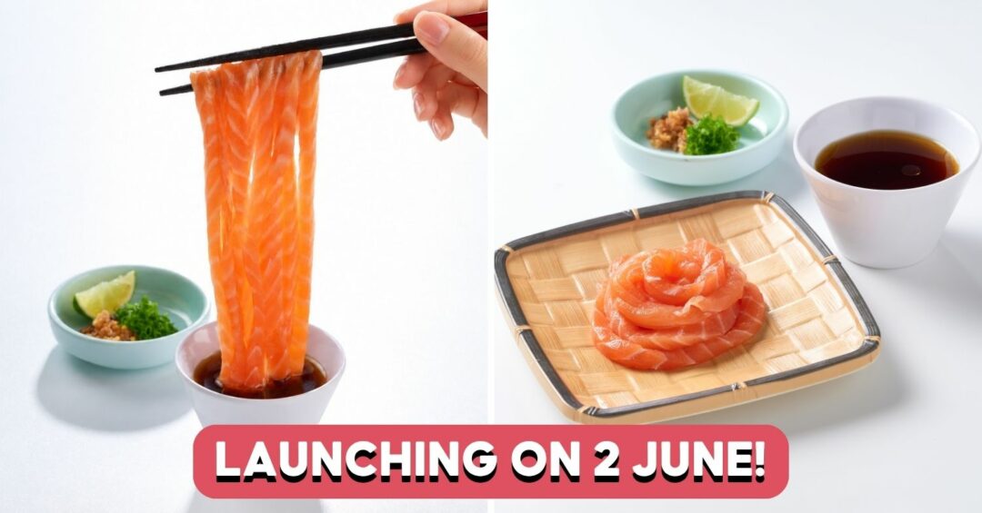 SUSHI-GO-SALMON-COVER