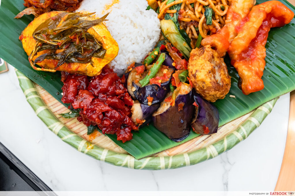 koufu-t2-nasi-padang-closeup