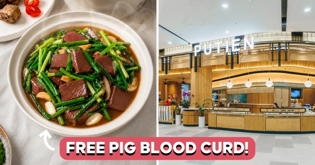 putien-free-pig-blood-curd-cover