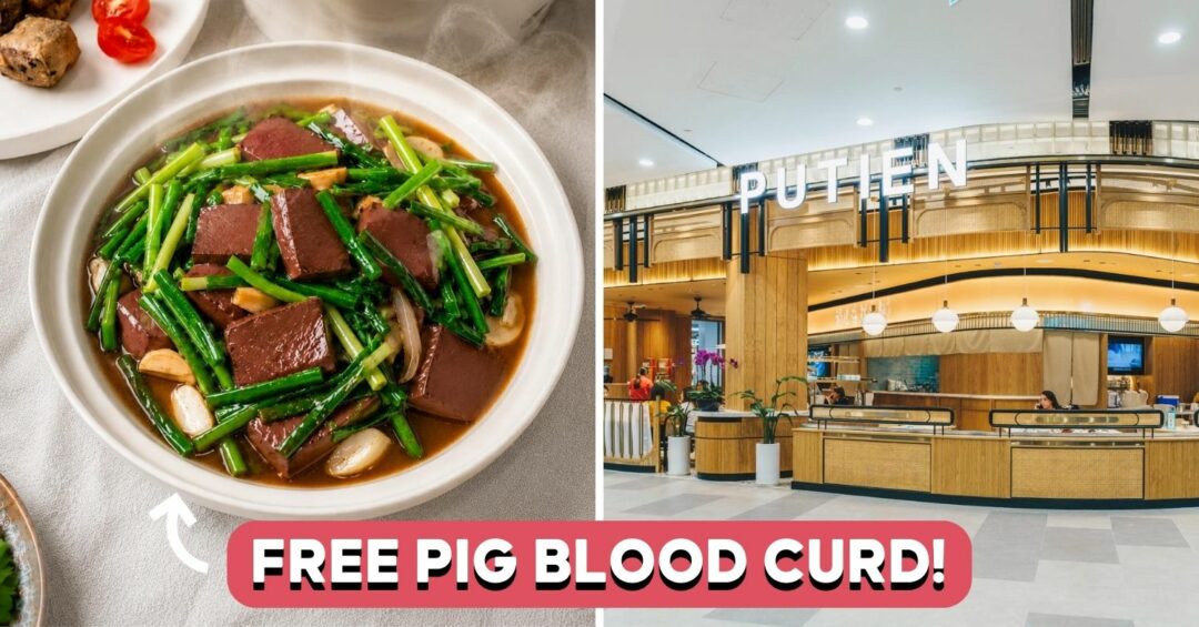 putien-free-pig-blood-curd-cover