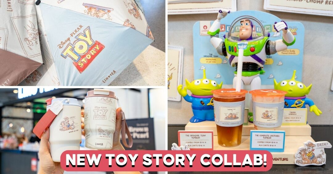 TOY-STORY-LIHO-COVER