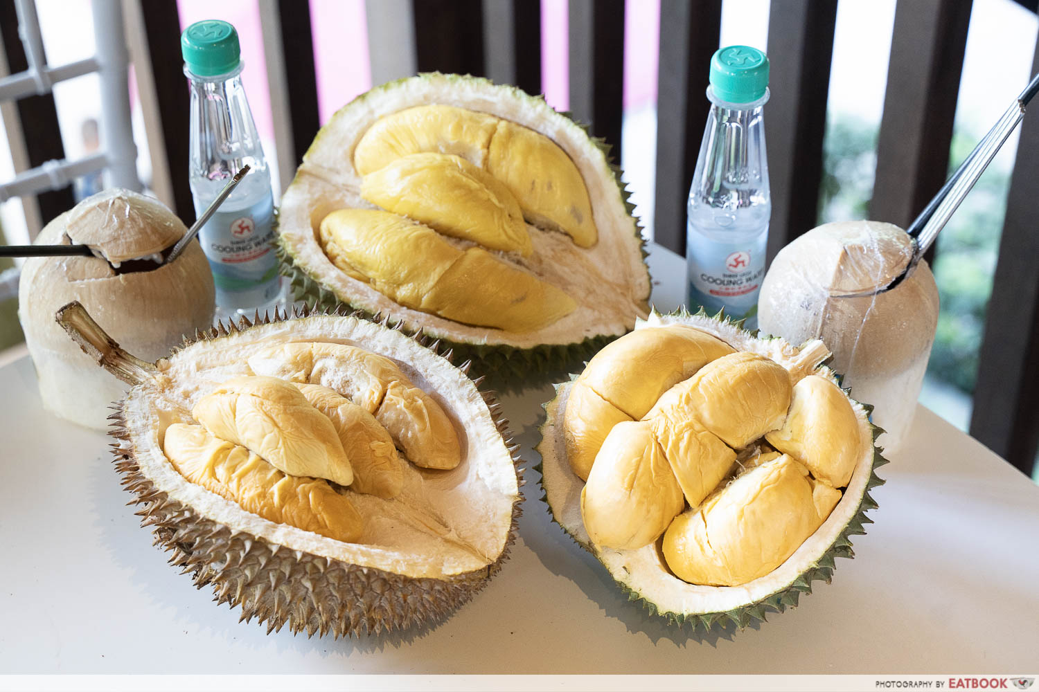 all hail the king durian fest flatlay image