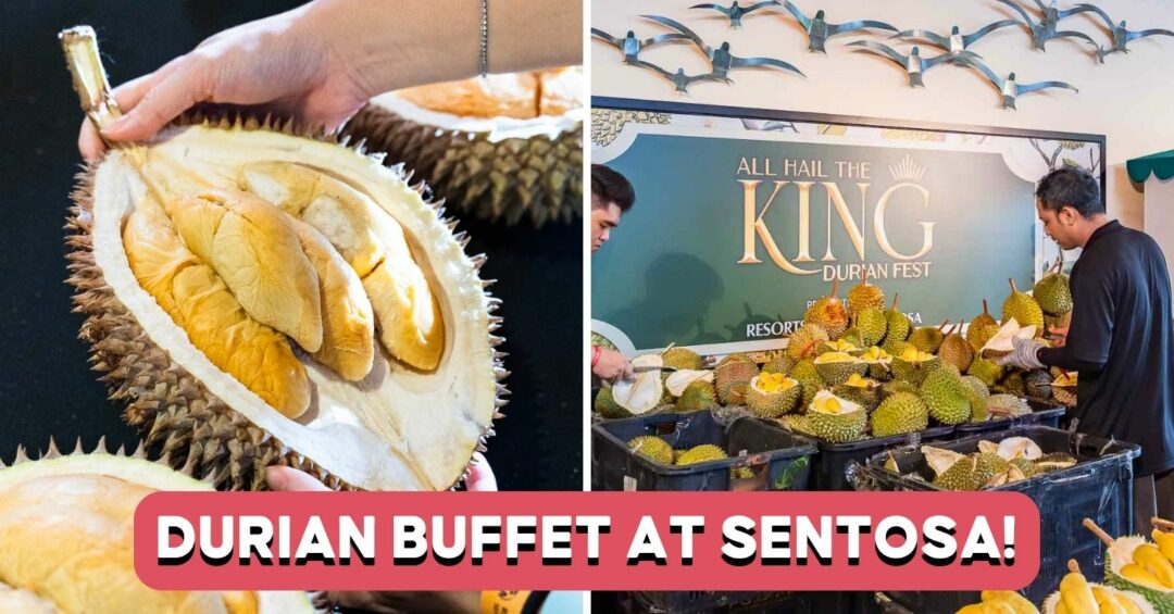 all hail the king durian fest feature image
