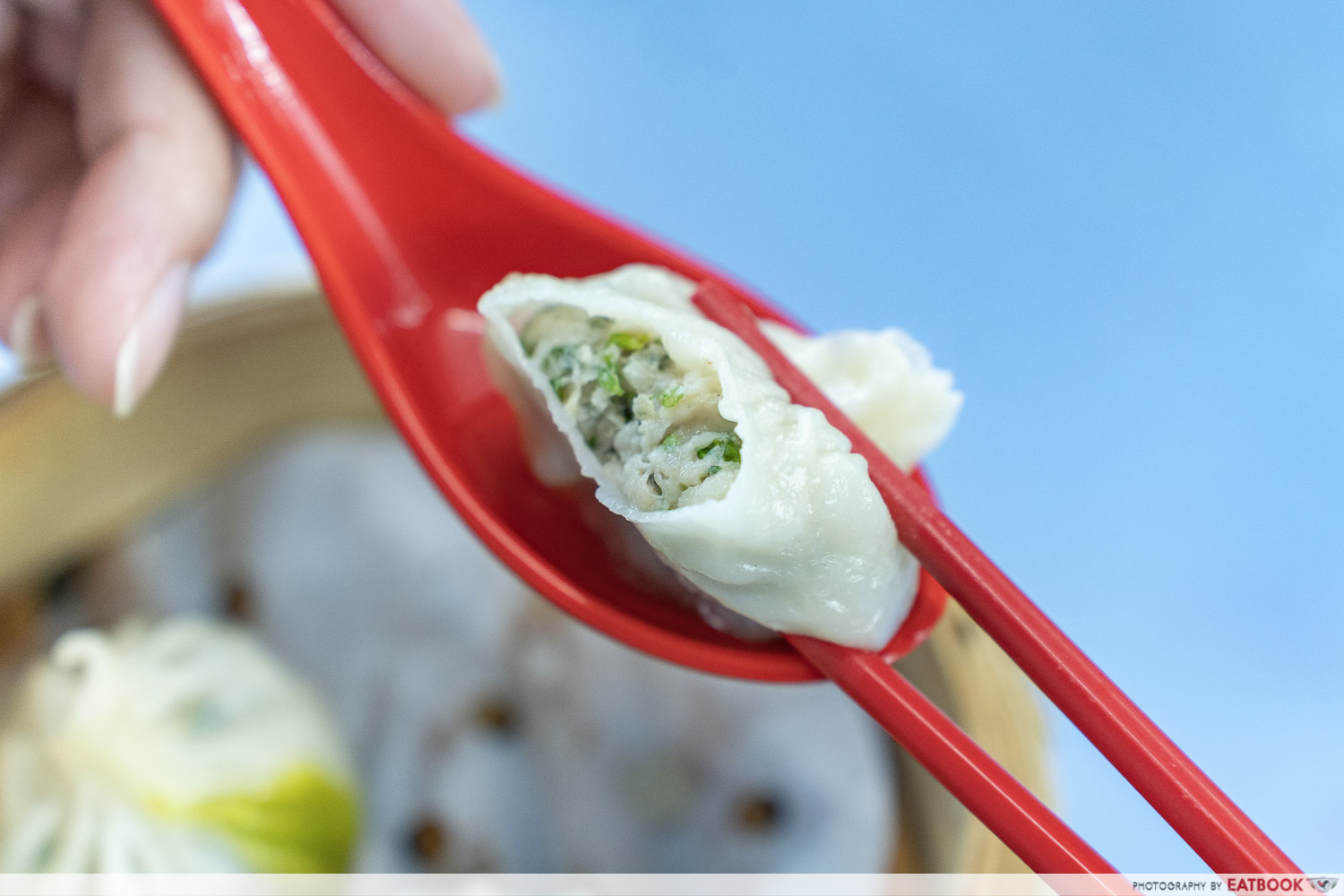 chef-leung-coriander-view
