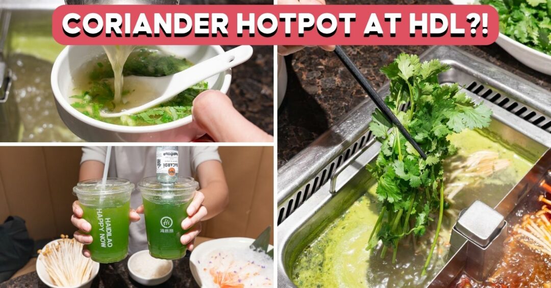 hdl-coriander-cover